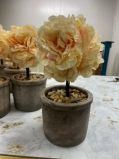 Flower in pot